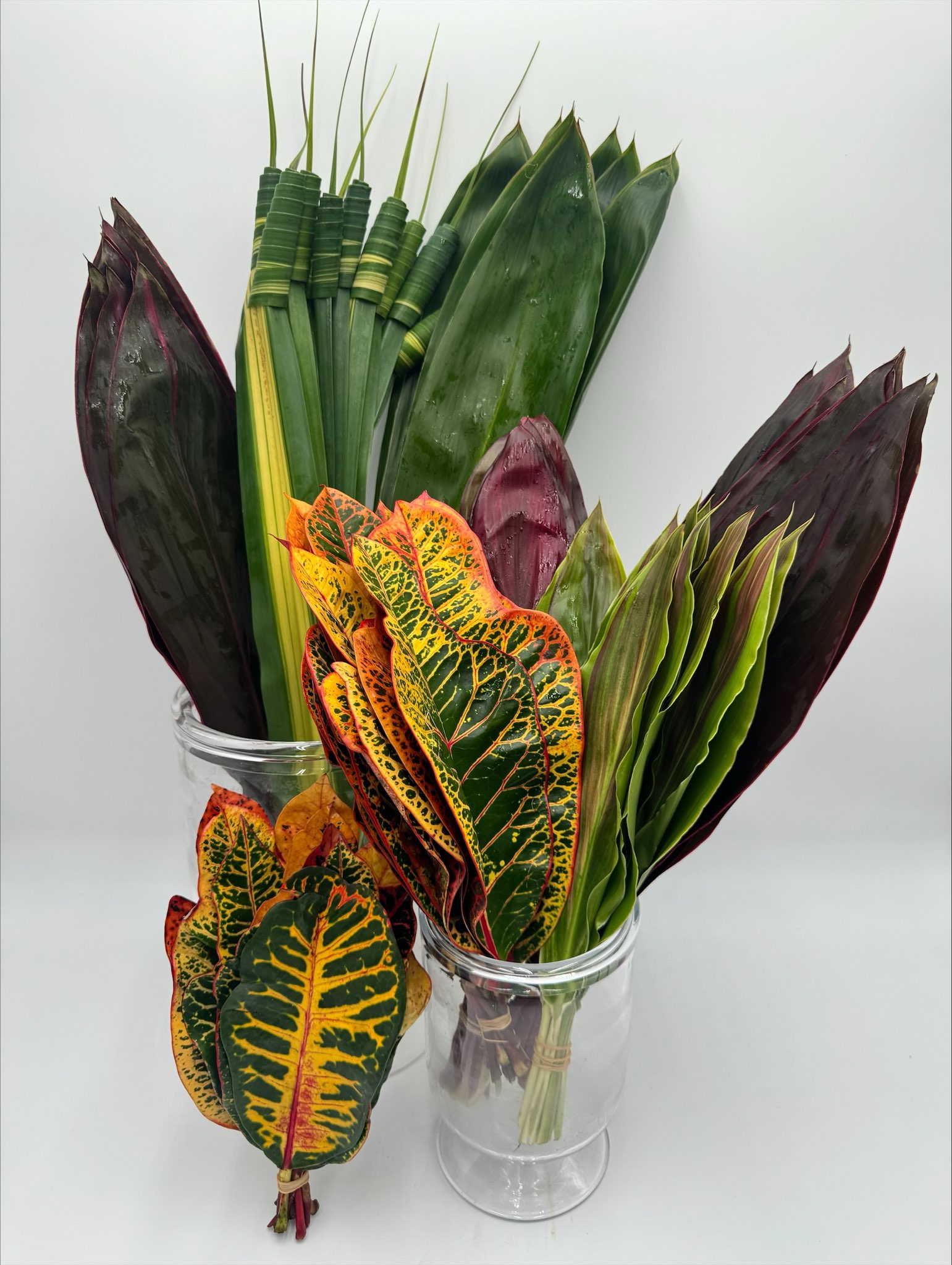 TROPICAL MIX FOLIAGE