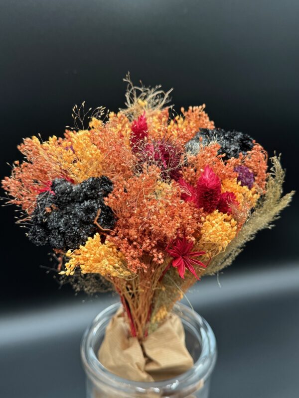 dried fantasy bqt assorted colors - Image 9