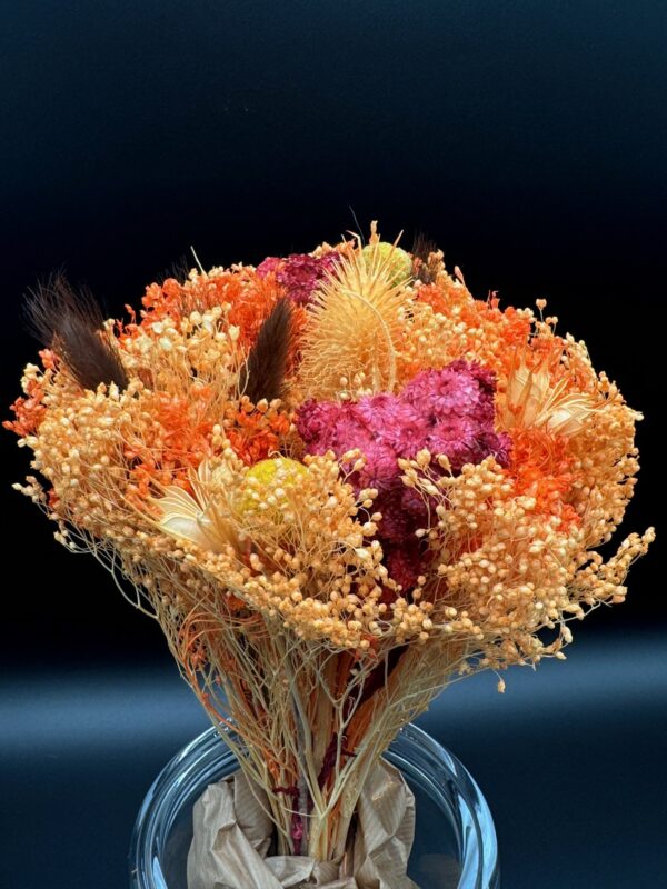 dried fantasy bqt assorted colors - Image 11