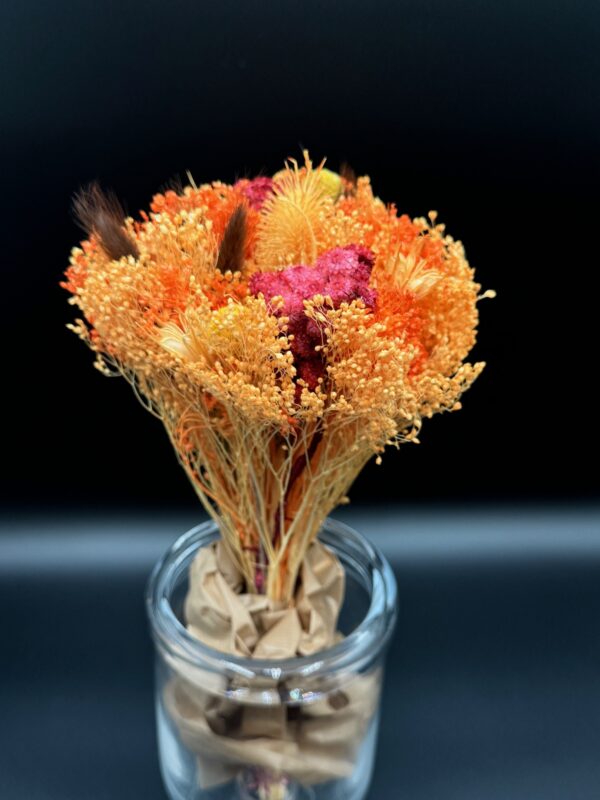 dried fantasy bqt assorted colors - Image 13