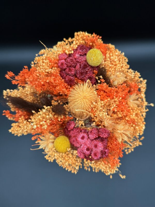 dried fantasy bqt assorted colors - Image 10