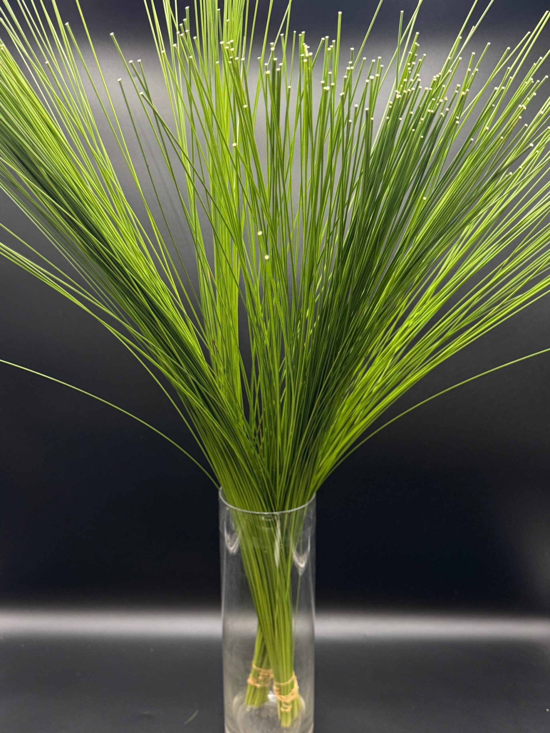 flexi grass Australian