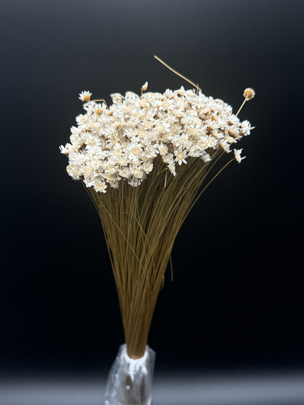 Dried Glixia Natural