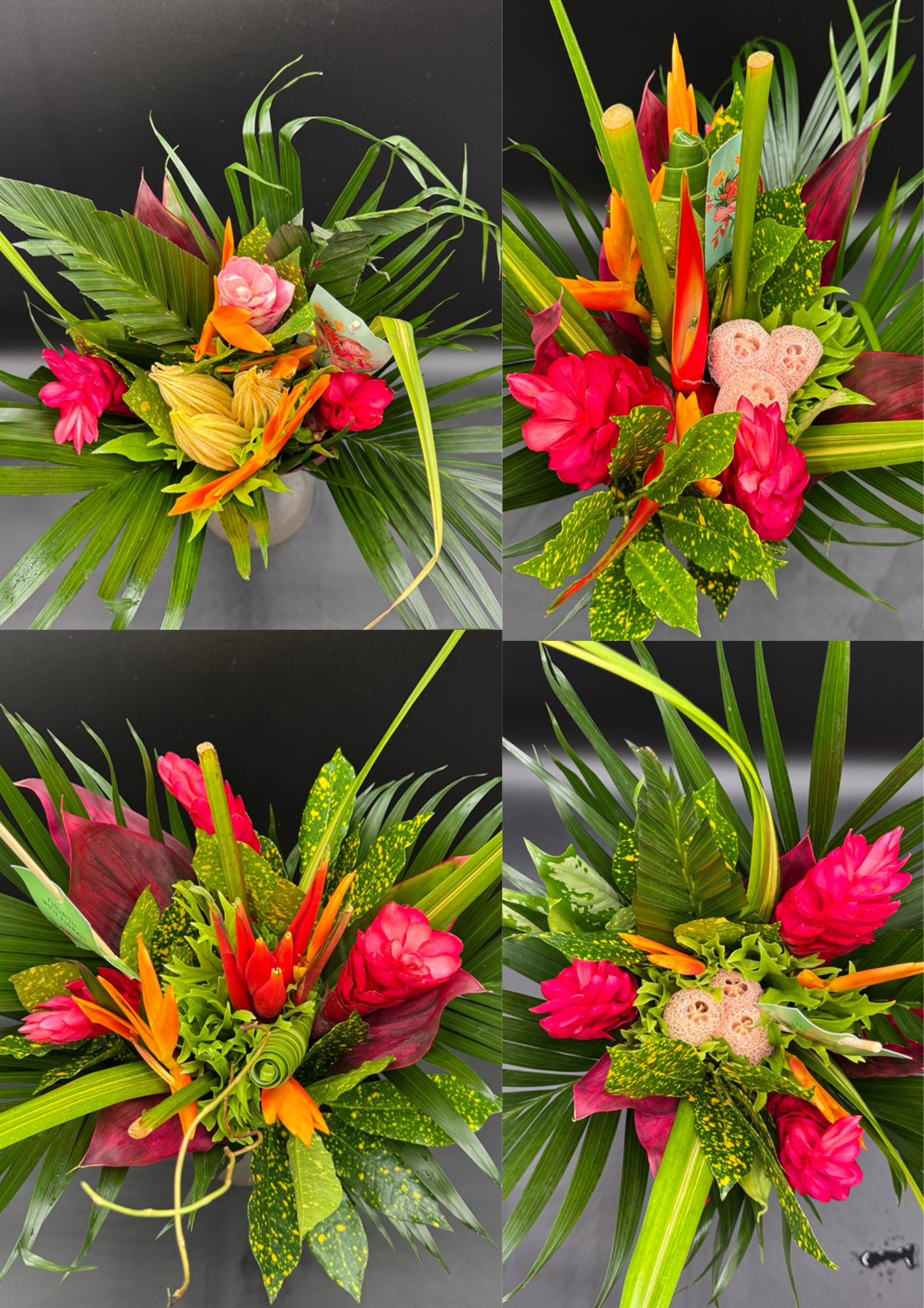 tropical foliage bqt