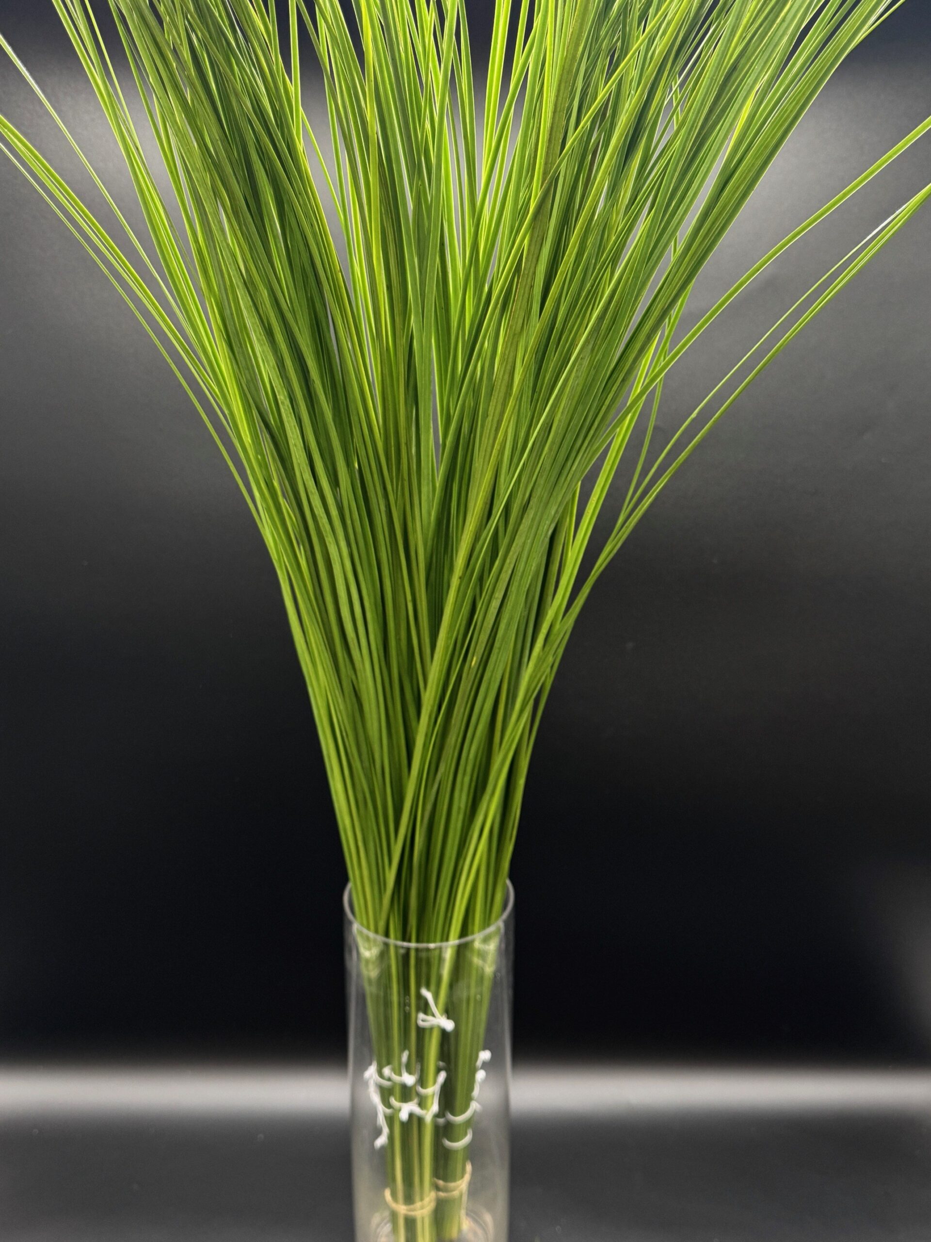 steel grass Australian