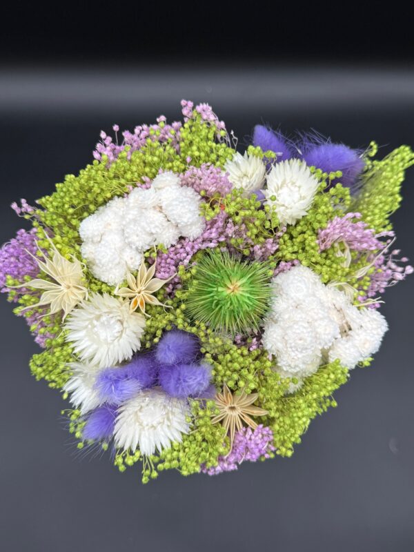 dried fantasy bqt assorted colors - Image 6