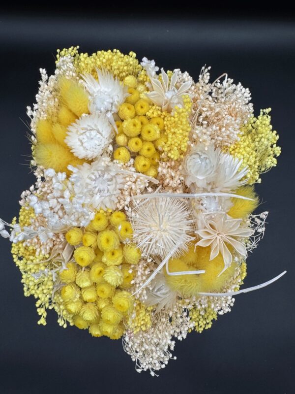 dried fantasy bqt assorted colors - Image 4