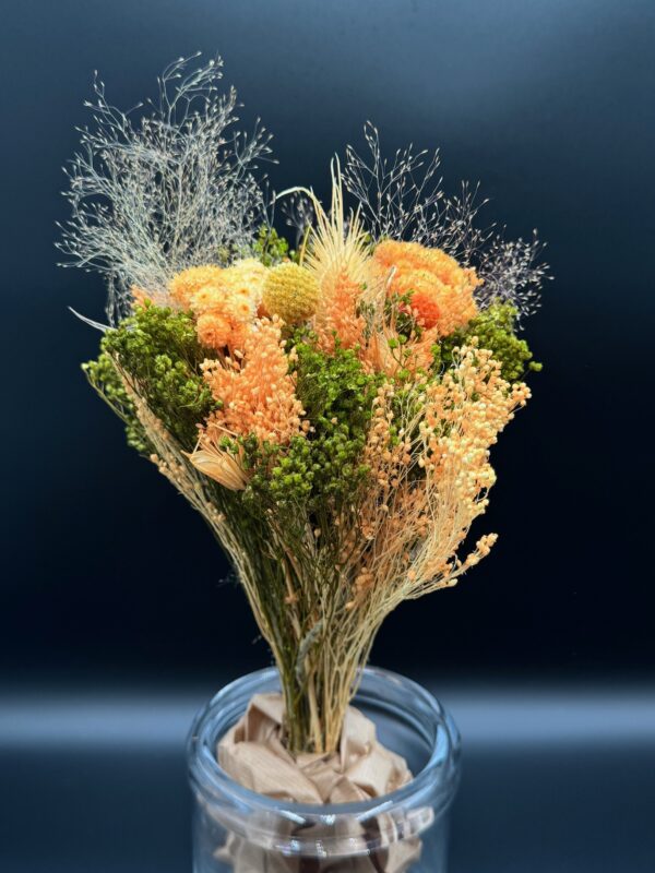 dried fantasy bqt assorted colors - Image 8