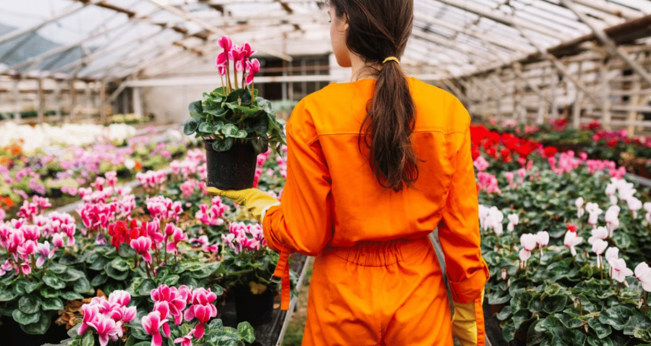 Wholesale flower distributors