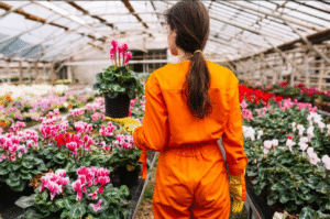 Wholesale flower distributors