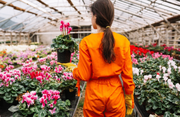 Wholesale flower distributors