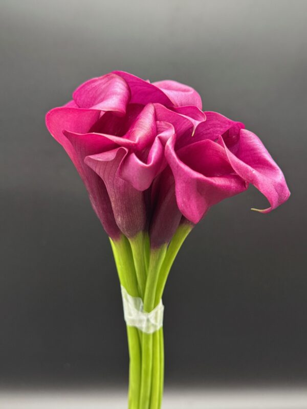 Calla Mini - Image 4