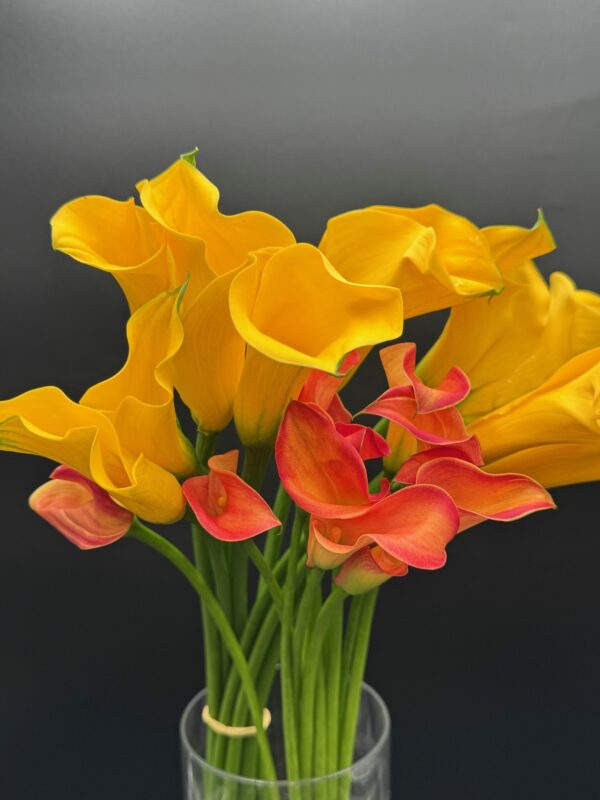 Calla Mini - Image 2