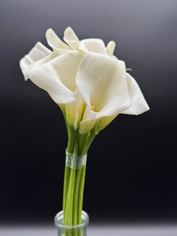 Calla Mini - Image 5