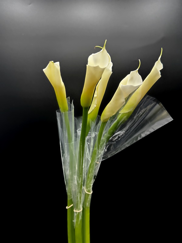 Calla Open Cut