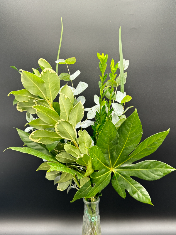 Premium Premade Drop-in BQT - Image 7