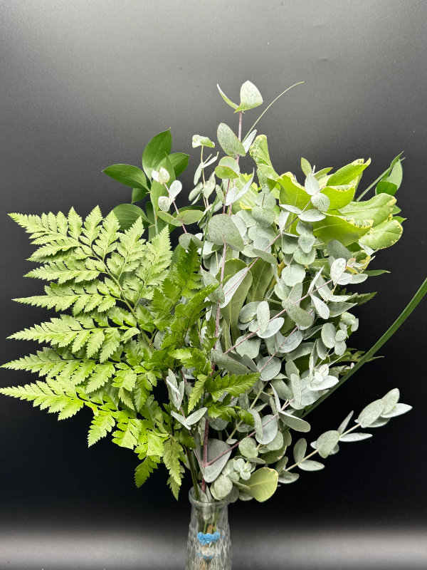 Premium Premade Drop-in BQT