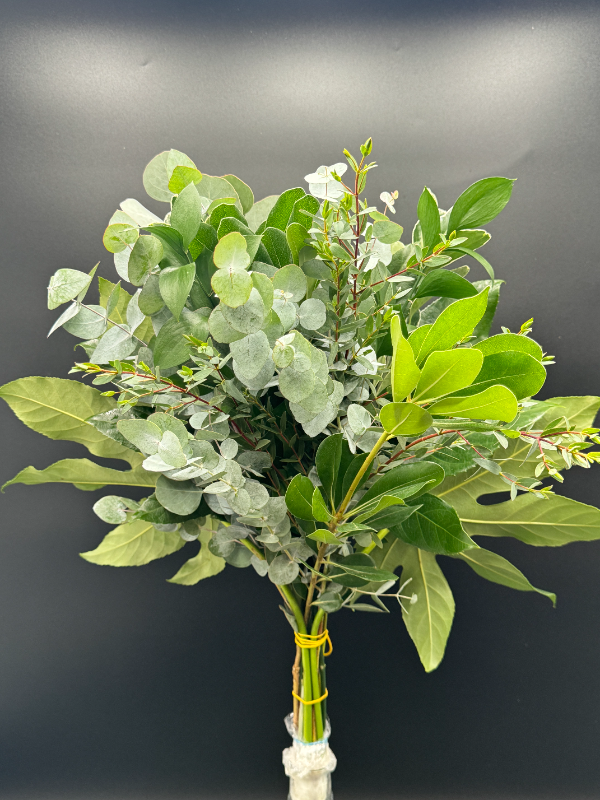 Premium Premade Drop-in BQT - Image 5