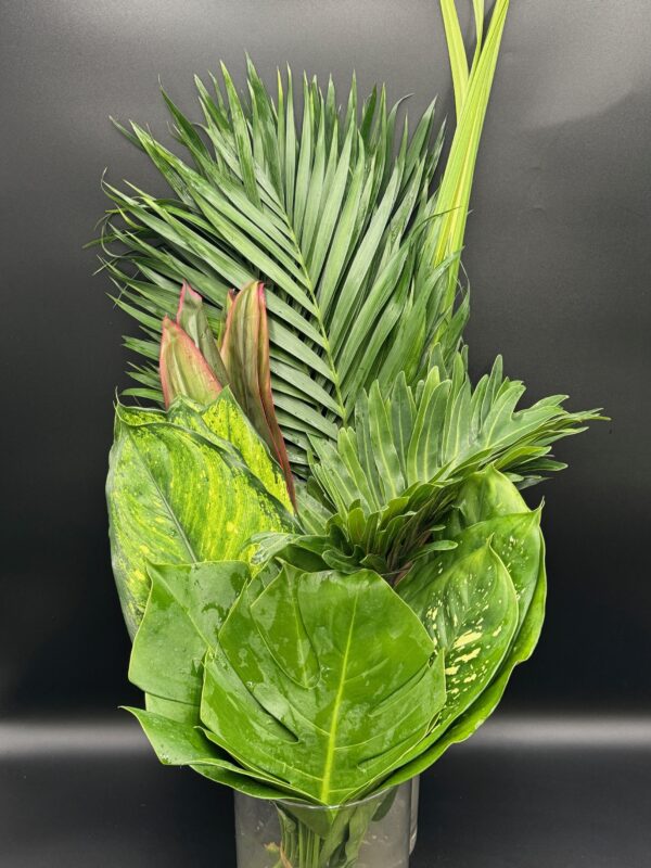 Foliage Mixes - Image 4