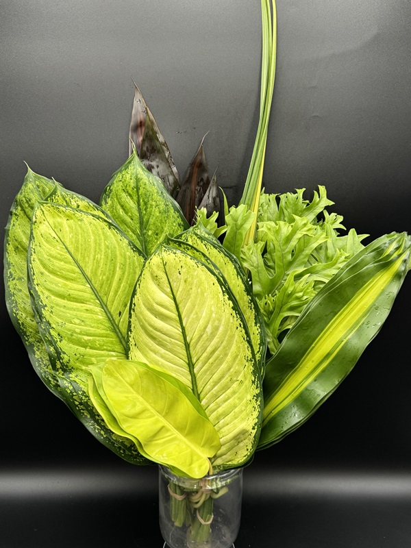 Foliage Mixes - Image 3